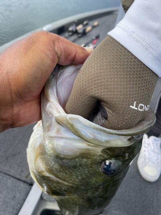 truth  ブログ写真 2023/09/04