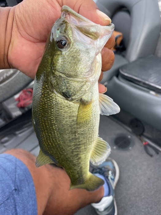 truth  ブログ写真 2023/09/04