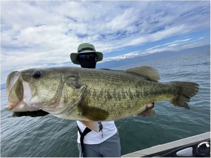 truth  ブログ写真 2023/09/04