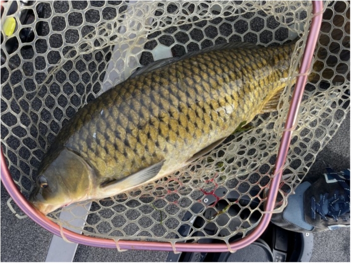 truth  ブログ写真 2023/09/22