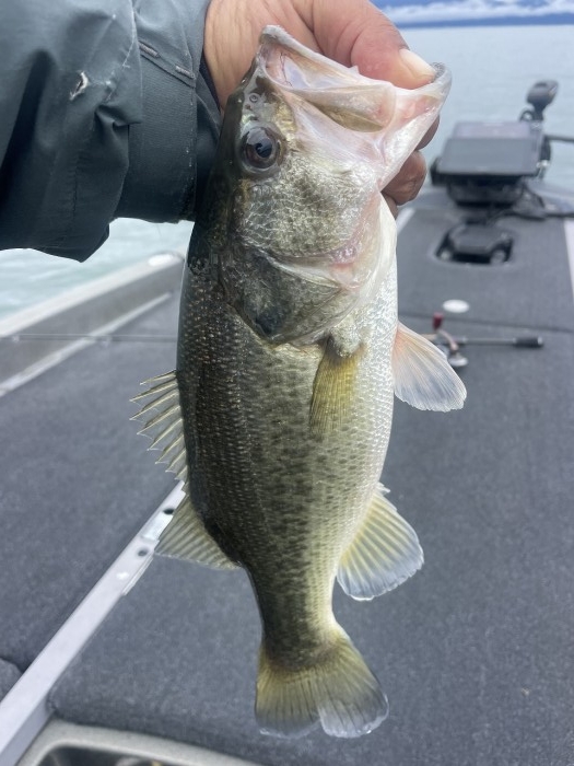 truth  ブログ写真 2023/10/19