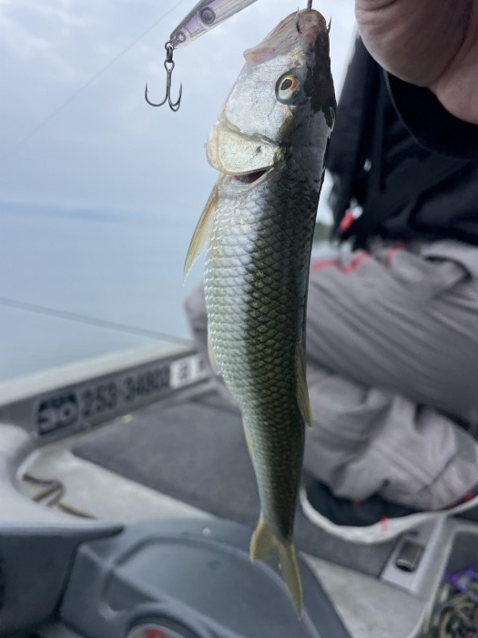 truth  ブログ写真 2023/10/19