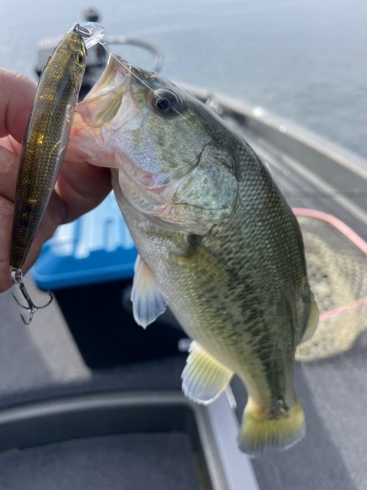 truth  ブログ写真 2023/10/19