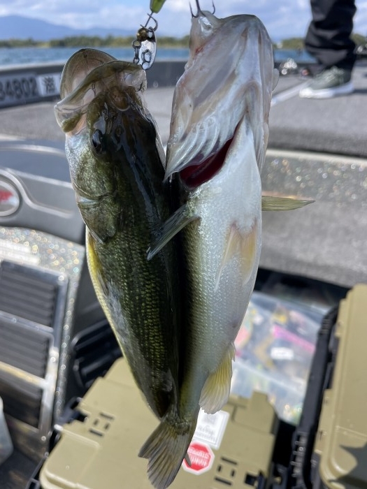 truth  ブログ写真 2023/10/19