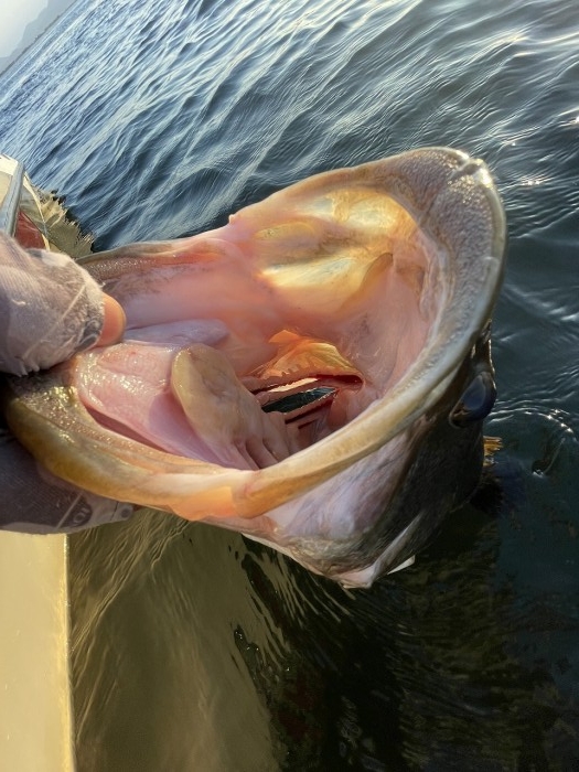 truth  ブログ写真 2023/10/19