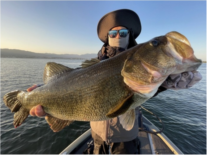 truth  ブログ写真 2023/10/19