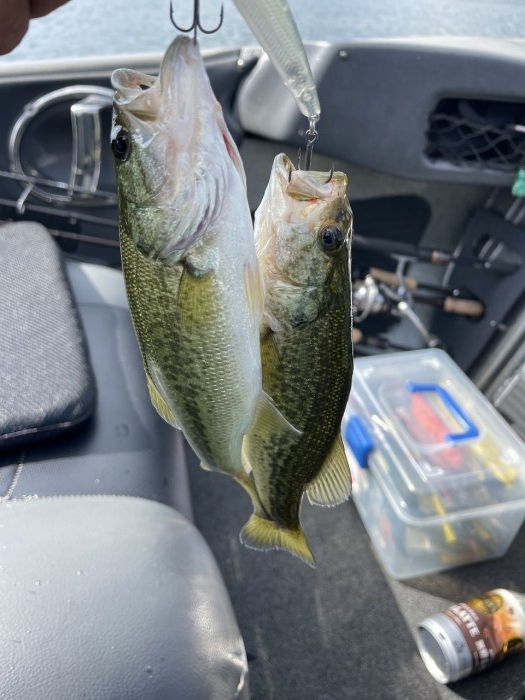 truth  ブログ写真 2023/10/19