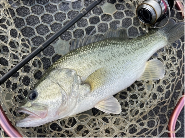 truth  ブログ写真 2023/10/21