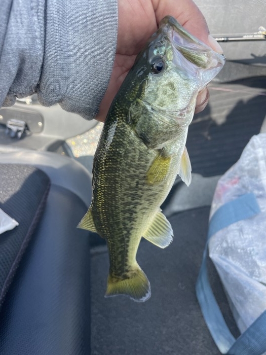 truth  ブログ写真 2023/10/21