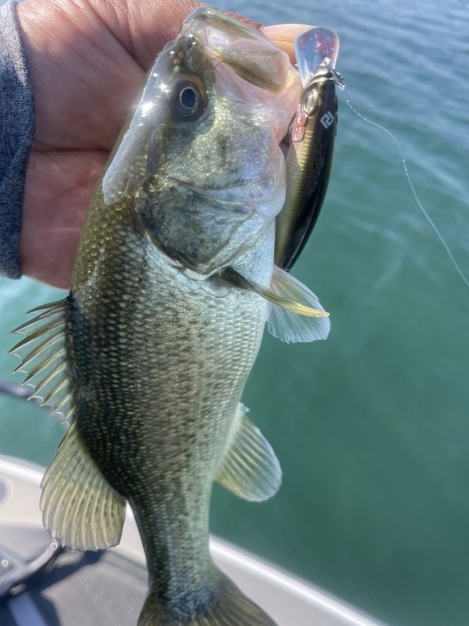 truth  ブログ写真 2023/11/01