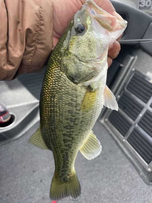 truth  ブログ写真 2023/11/01