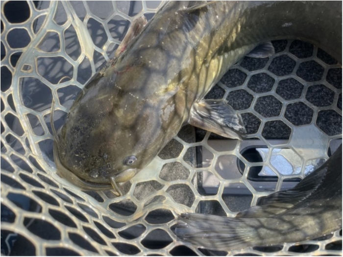 truth  ブログ写真 2023/11/01