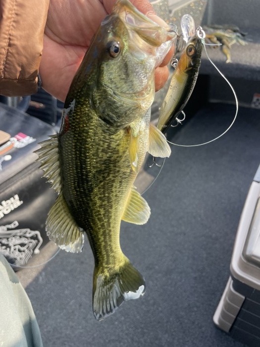 truth  ブログ写真 2023/11/02