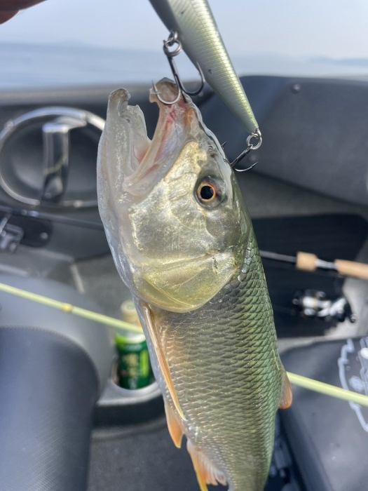 truth  ブログ写真 2023/11/02