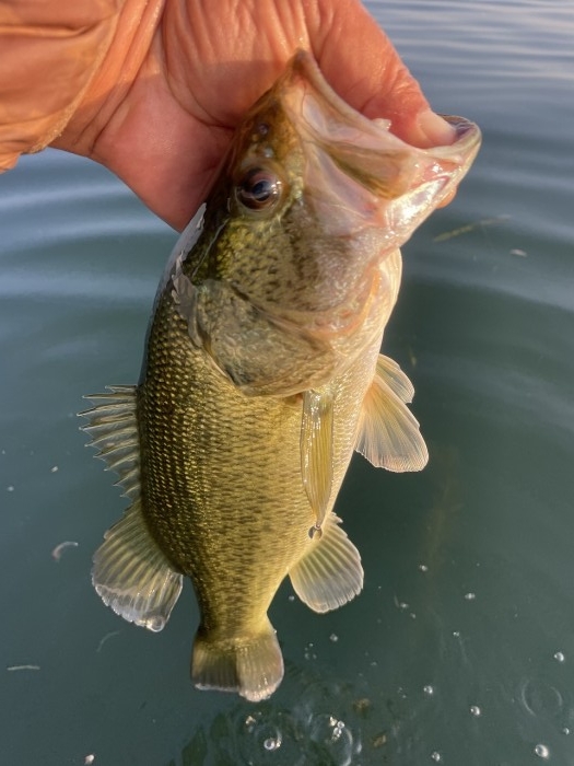 truth  ブログ写真 2023/11/02