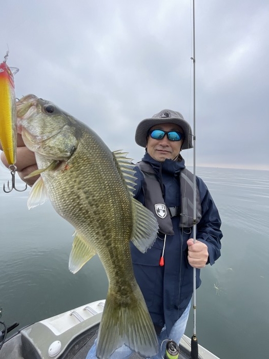 truth  ブログ写真 2023/11/03