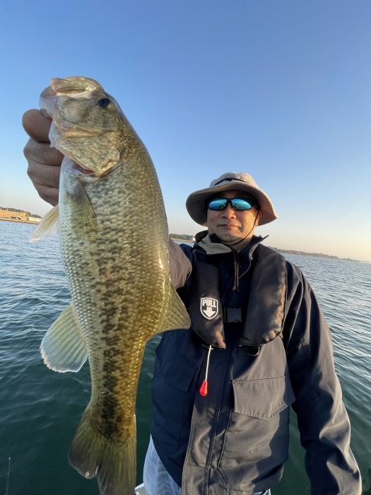 truth  ブログ写真 2023/11/03