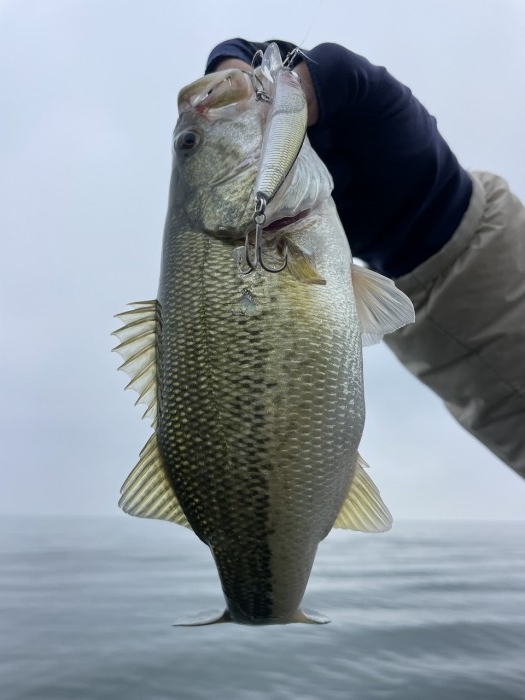 truth  ブログ写真 2023/11/03