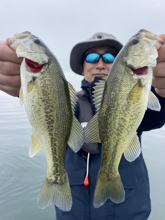 truth  ブログ写真 2023/11/03