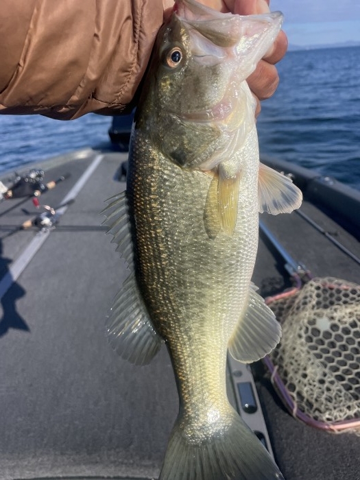 truth  ブログ写真 2023/12/05