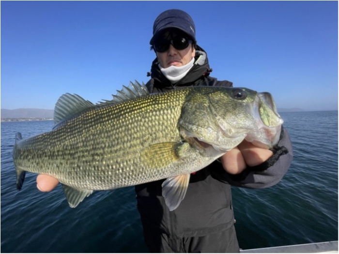 truth  ブログ写真 2023/12/08