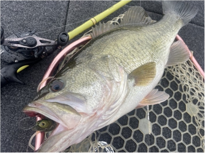 truth ブログ写真 2024/02/15