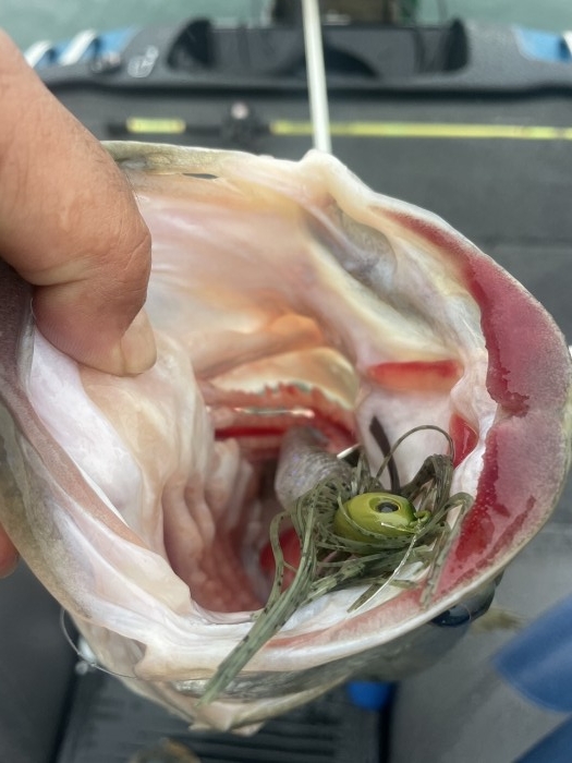 truth ブログ写真 2024/02/15