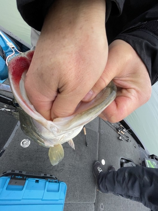 truth ブログ写真 2024/02/17