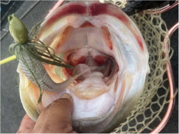 truth  ブログ写真 2024/02/19