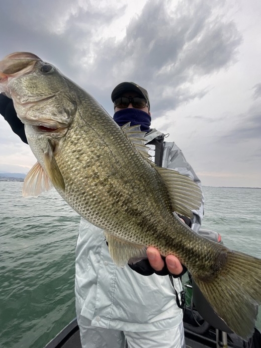 truth  ブログ写真 2024/03/17