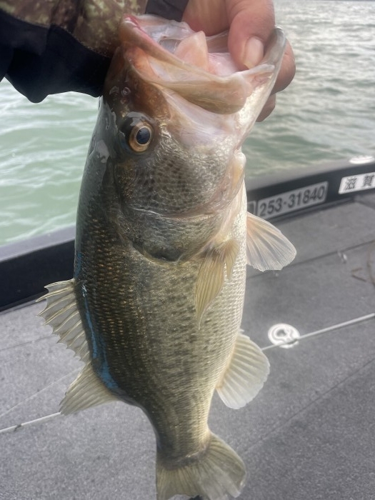 truth  ブログ写真 2024/03/19