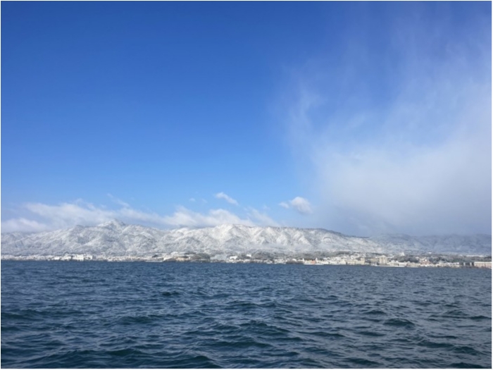 truth  ブログ写真 2024/03/21