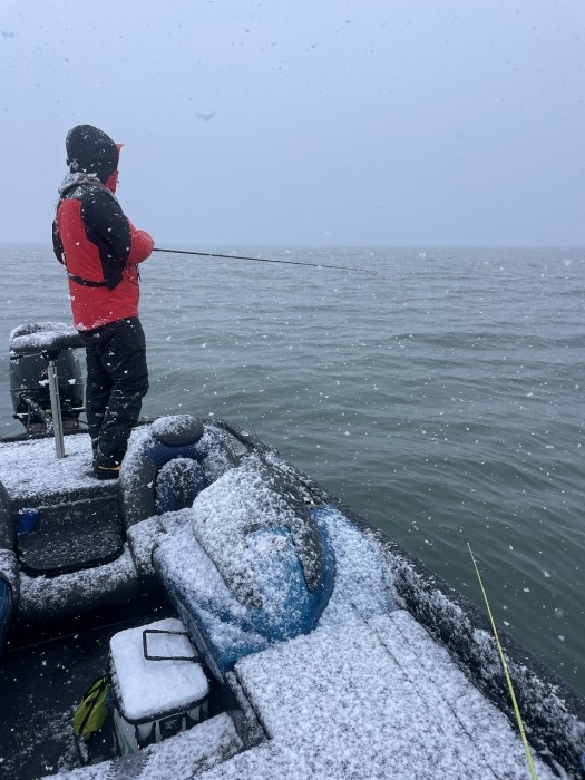 truth  ブログ写真 2024/03/21