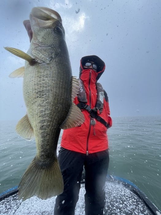 truth  ブログ写真 2024/03/21