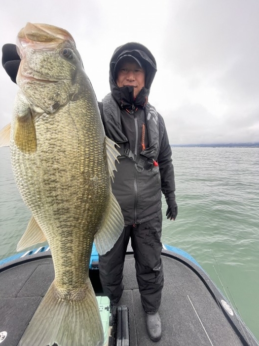 truth  ブログ写真 2024/03/23