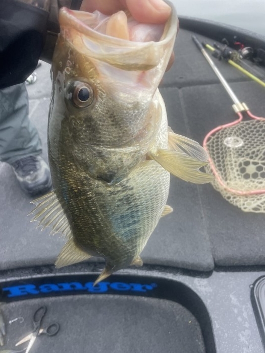 truth  ブログ写真 2024/03/25