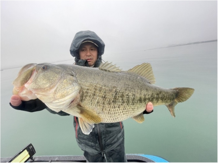 truth  ブログ写真 2024/03/25