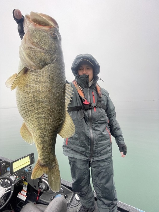 truth  ブログ写真 2024/03/25