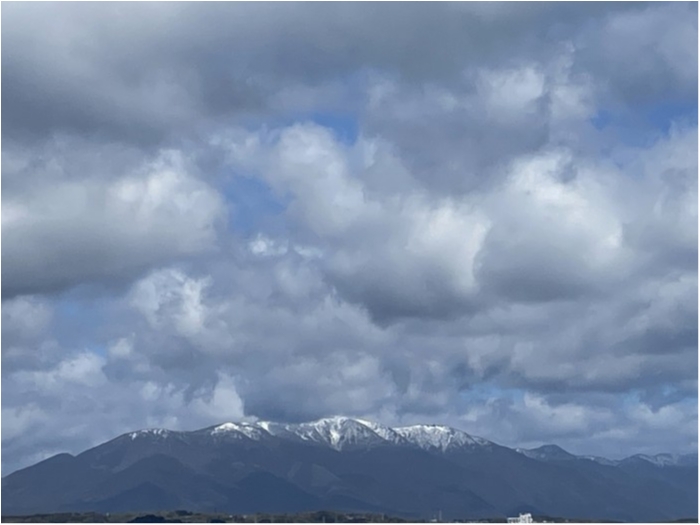 truth  ブログ写真 2024/03/27