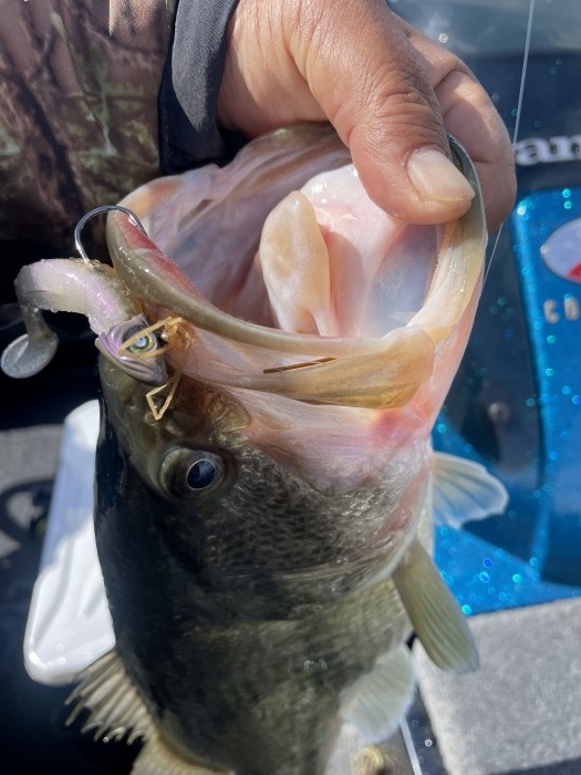 truth  ブログ写真 2024/03/27