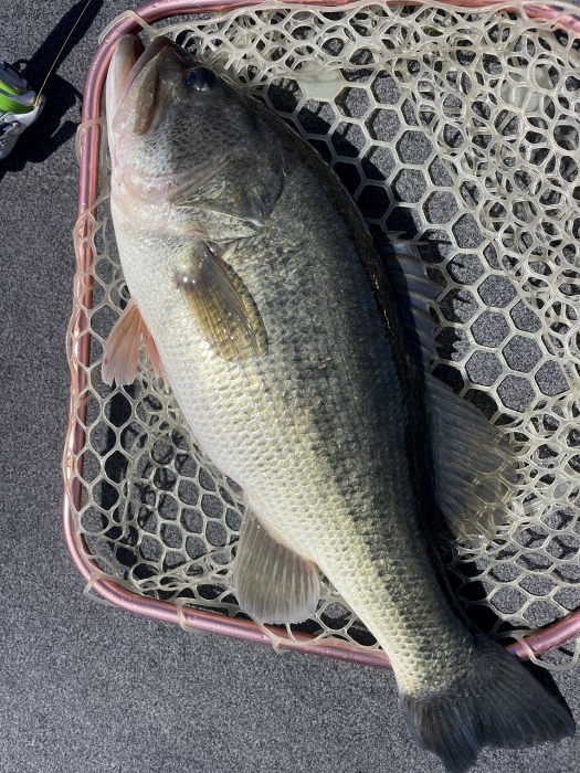 truth  ブログ写真 2024/03/27