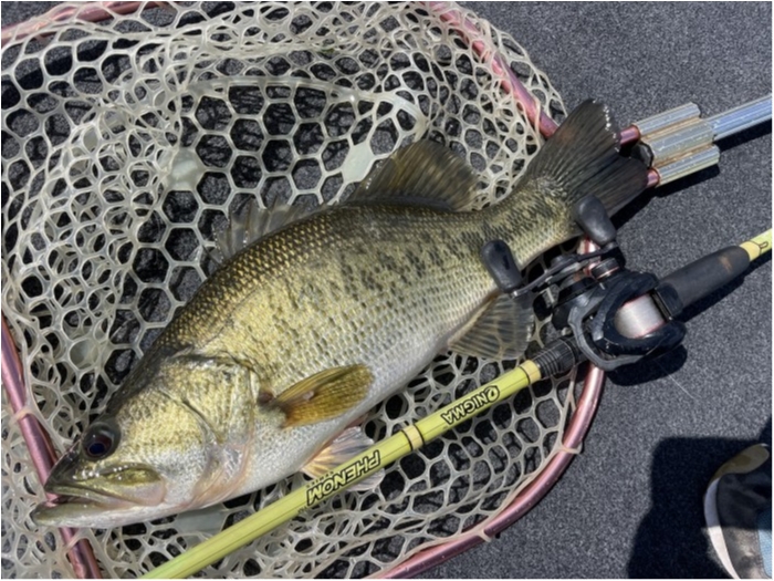 truth  ブログ写真 2024/03/27