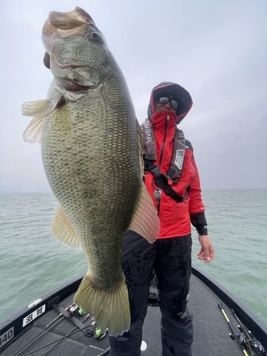 truth  ブログ写真 2024/04/03