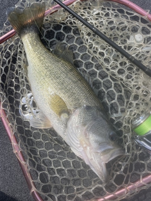 truth  ブログ写真 2024/04/04