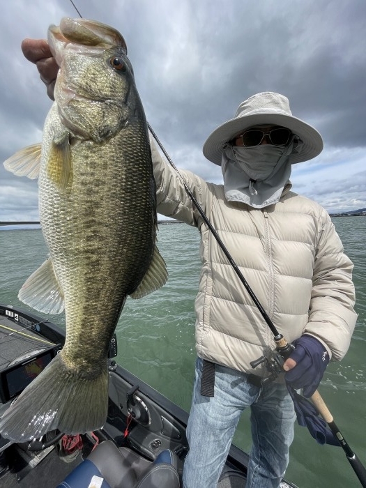 truth  ブログ写真 2024/04/04