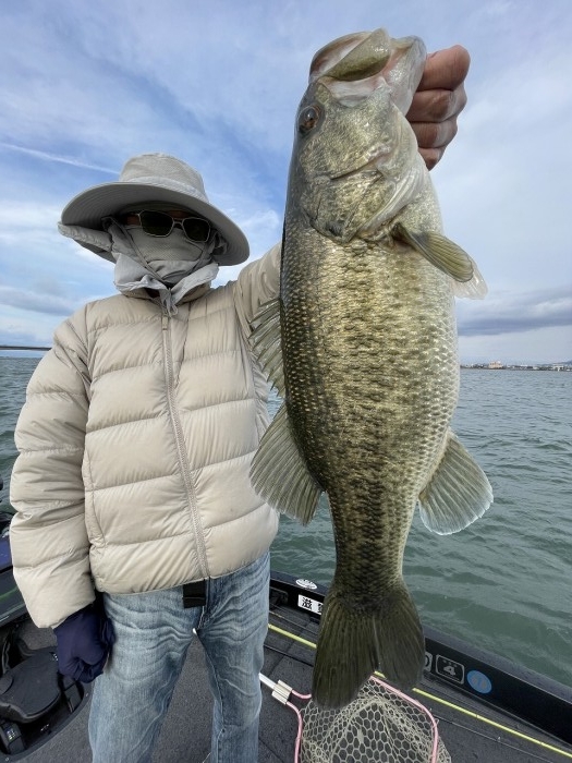 truth  ブログ写真 2024/04/04