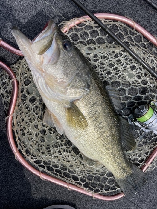 truth  ブログ写真 2024/04/05