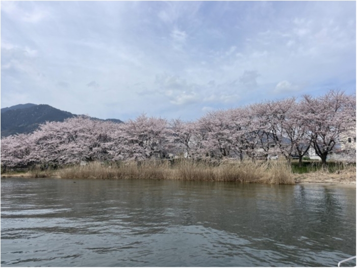 truth  ブログ写真 2024/04/06