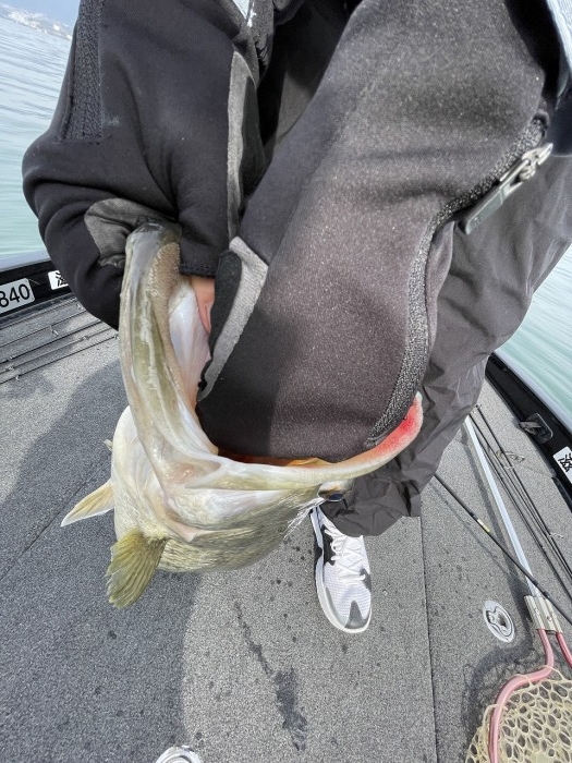 truth  ブログ写真 2024/04/06