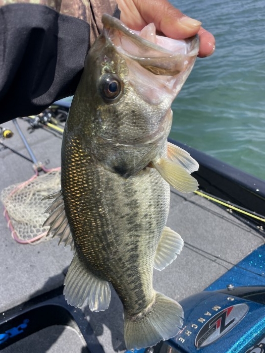 truth  ブログ写真 2024/04/07